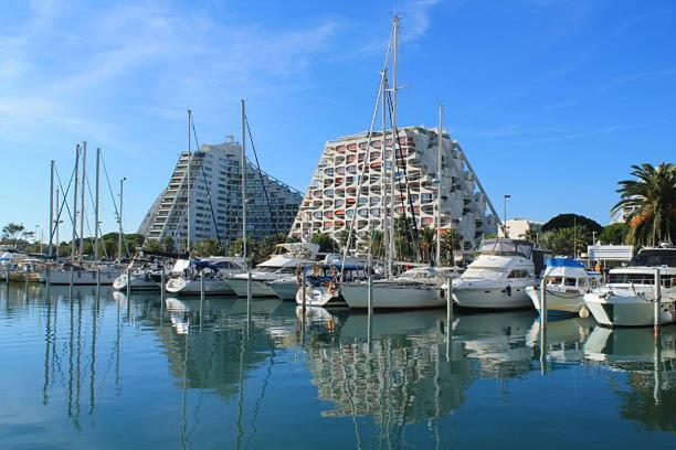 Le Grand Bleu, Motte,